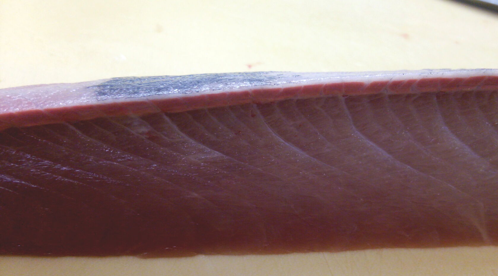 それはマグロのスジではないのですよ 魚屋のたわごと ざれごと ひとりごと