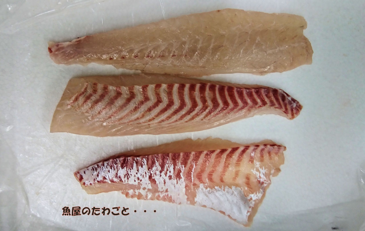 イスズミの身 鯛との比較 魚屋のたわごと ざれごと ひとりごと イスズミの身 鯛との比較 魚屋のたわごと ざれごと ひとりごと
