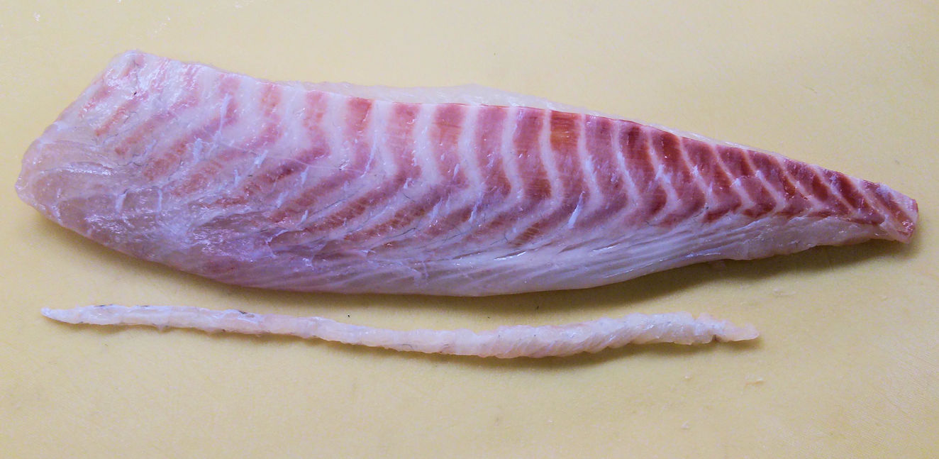 ヒラメの縁側 エンガワ ついでにタイとカンパチの縁側 魚屋のたわごと ざれごと ひとりごと ヒラメの縁側 エンガワ ついでにタイとカンパチの縁側 魚屋のたわごと ざれごと ひとりごと