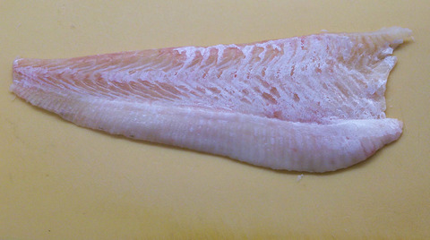 魚屋のたわごと ざれごと ひとりごと