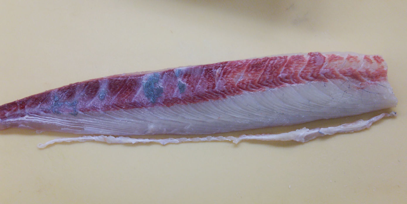 ヒラメの縁側 エンガワ ついでにタイとカンパチの縁側 魚屋のたわごと ざれごと ひとりごと