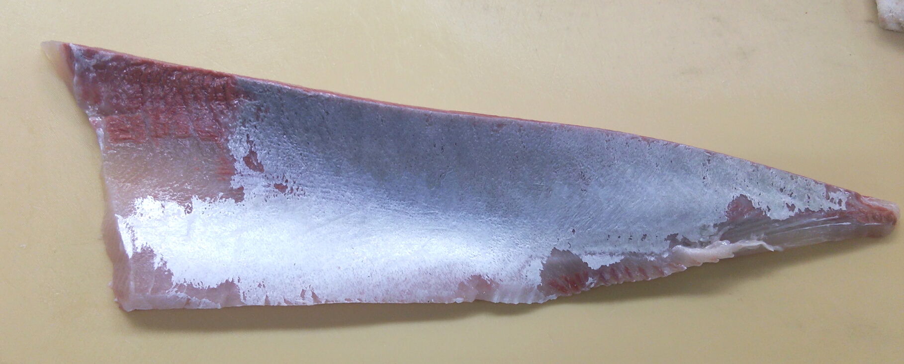 ヒラマサとブリの違い 魚屋のたわごと ざれごと ひとりごと