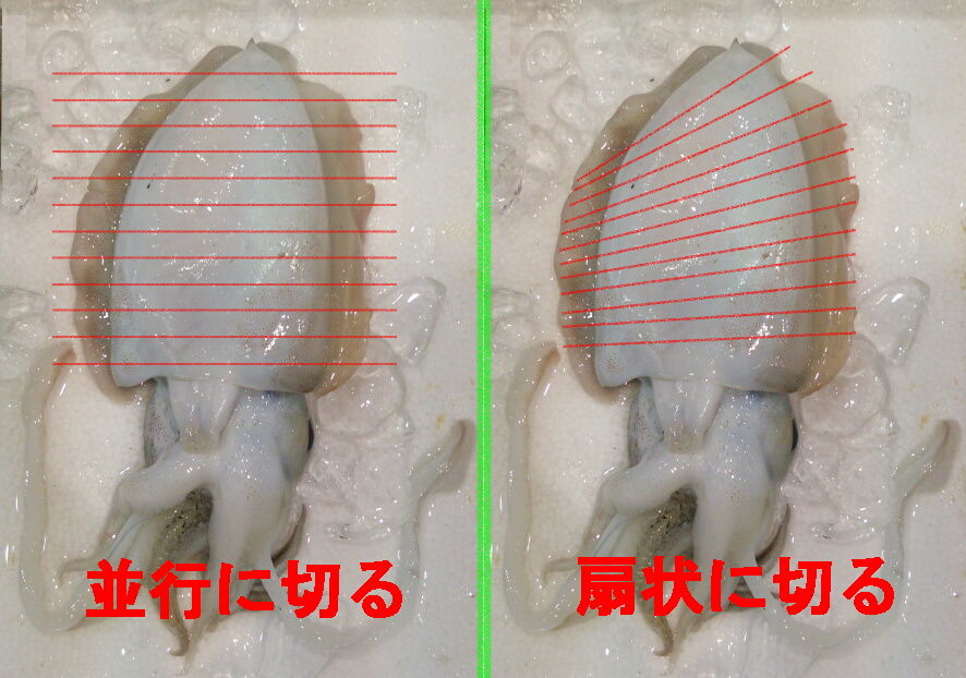 イカの刺身の切り方あれこれ 魚屋のたわごと ざれごと ひとりごと