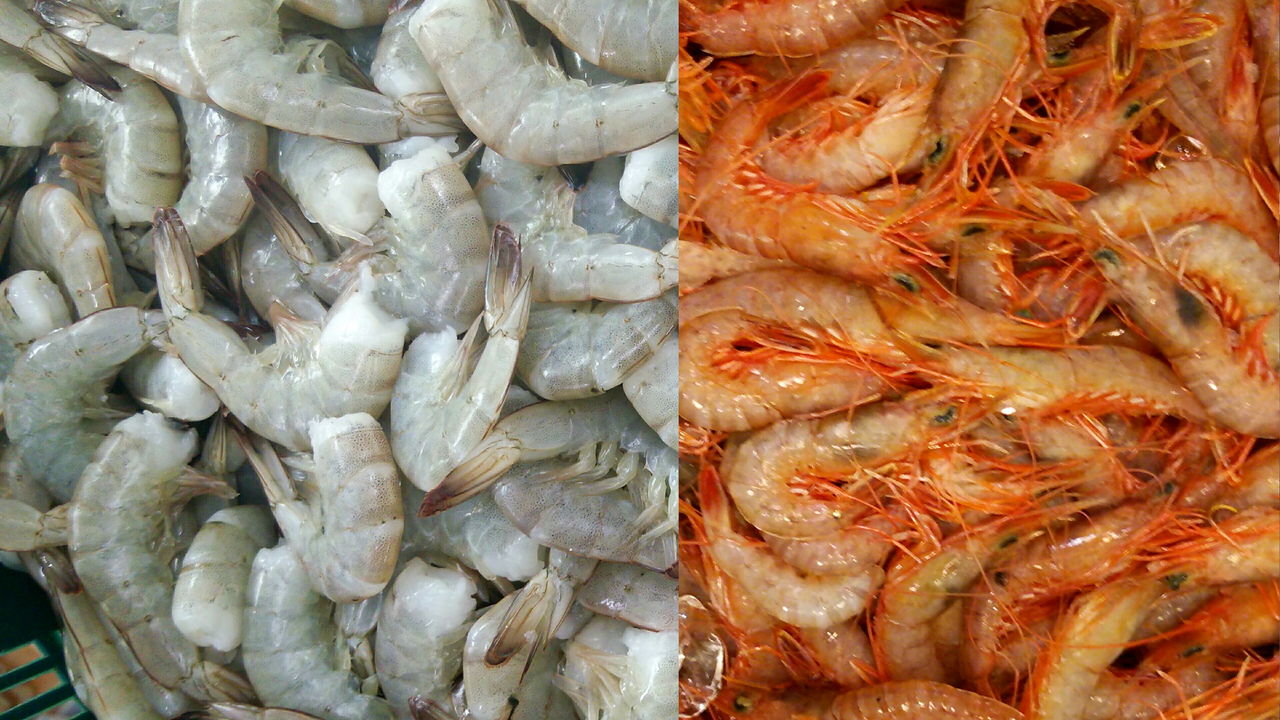 食品の偽装と産地表示について 魚屋のたわごと ざれごと ひとりごと 食品の偽装と産地表示について 魚屋のたわごと ざれごと ひとりごと