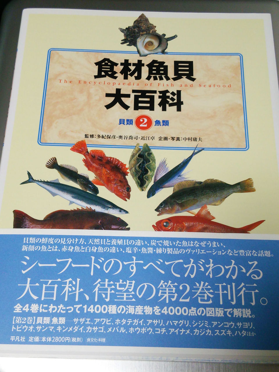 魚介類について 魚屋のたわごと ざれごと ひとりごと