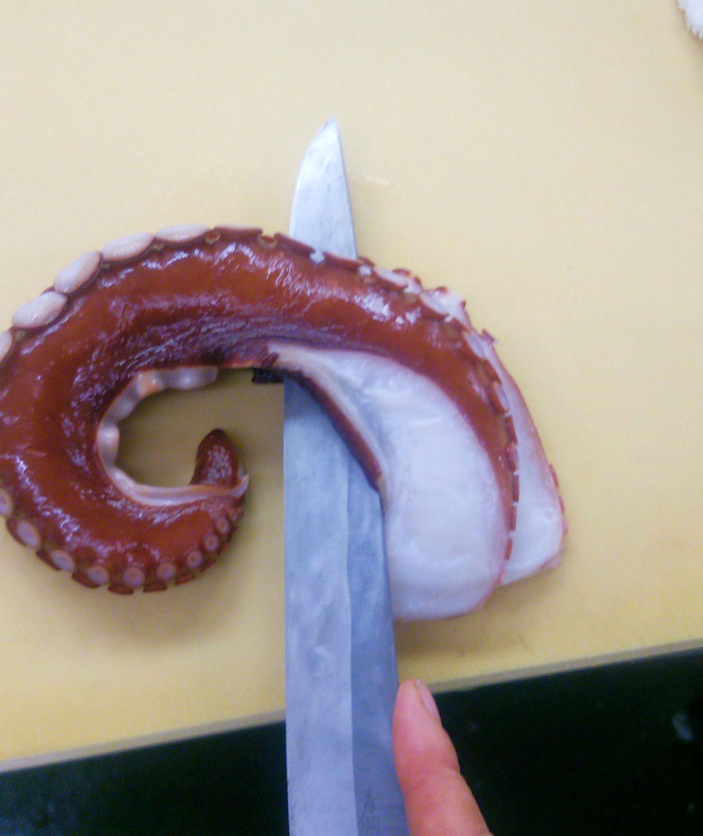 タコの刺身 タコが大きな場合の切り方 魚屋のたわごと ざれごと ひとりごと