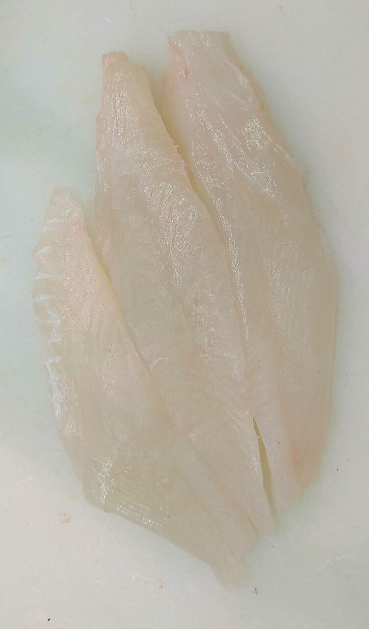 マトウダイの肉離れ 魚屋のたわごと ざれごと ひとりごと