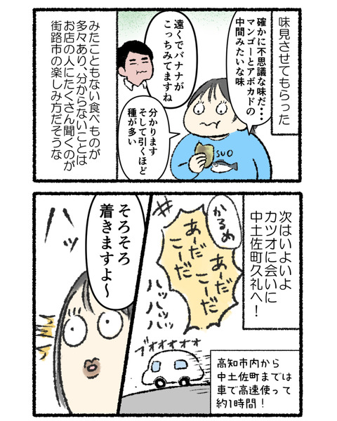 秋の高知旅行記2_003