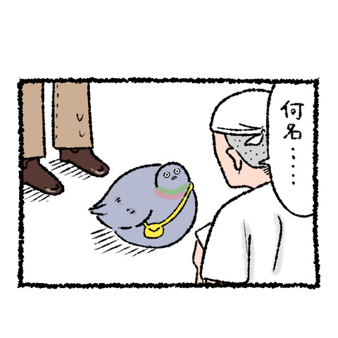 行列_002