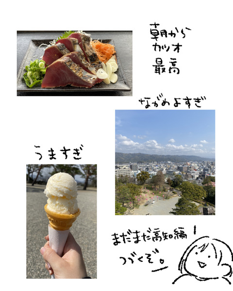 高知城_006