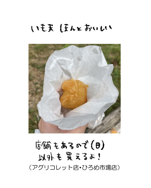 高知旅行記（日曜市）_出力_006