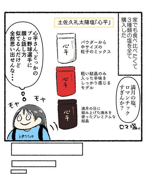 高知旅行記秋4_出力_007