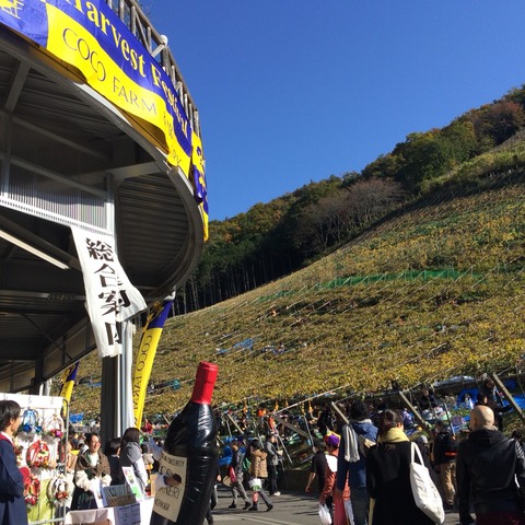 2014-11-16-09-33-43