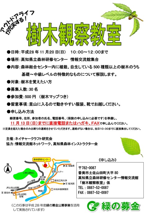 28植物観察教室チラシ(ネイチャークラフト研究会)