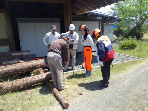 RIMG2012