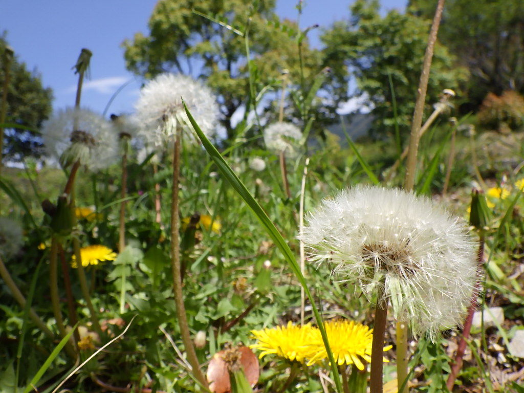 旧 情報交流館ブログ 18年04月