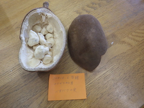 RIMG0264