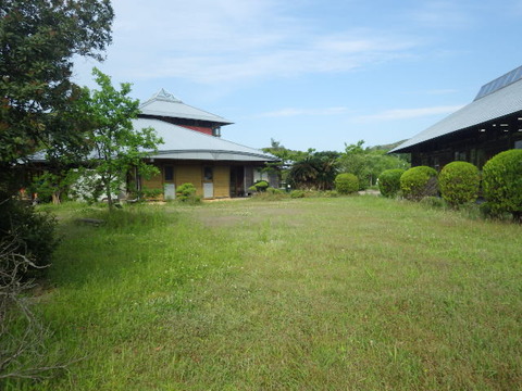 RIMG3500