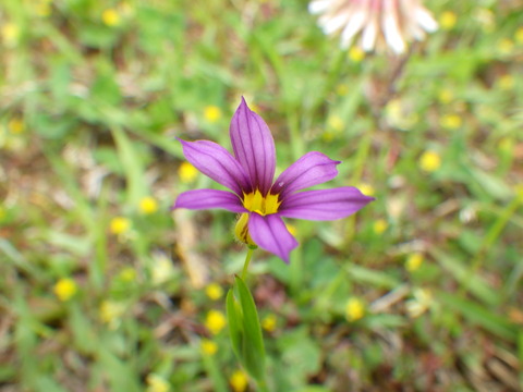 RIMG7142