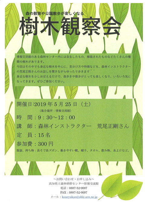 樹木観察会
