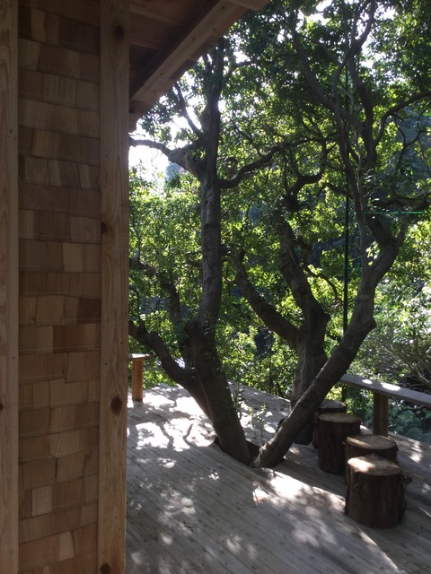 9D0533FE-391E-41BB-B9DC-80070446F3B0