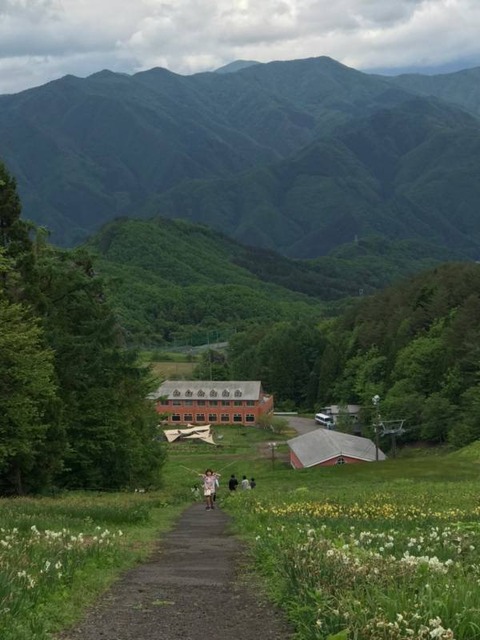Image-1 (11)