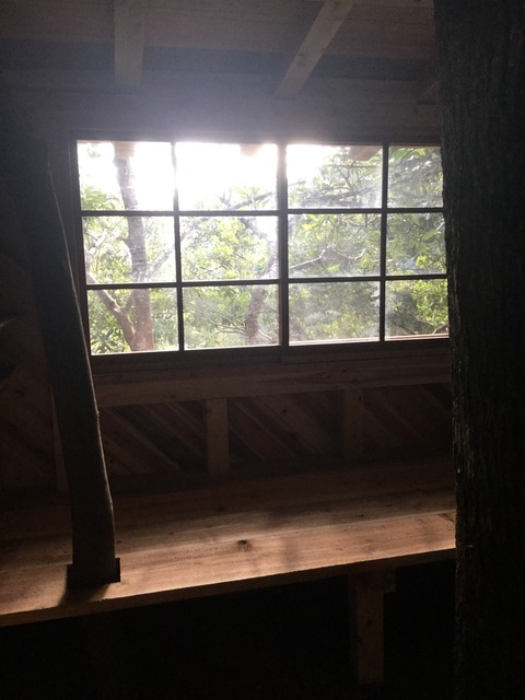 E6BC22AB-6631-4D67-A219-E9DDDCE0A01C