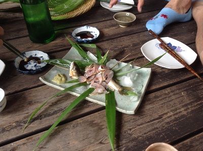 鮎お刺身