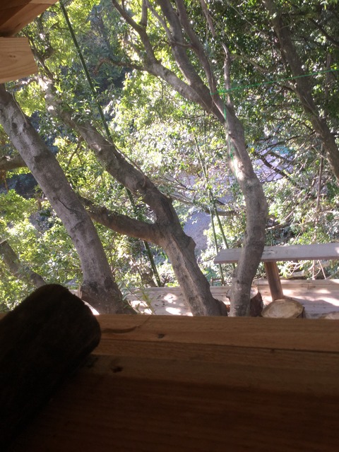 7F9405D4-2D01-463D-9CBF-94B688ED7494