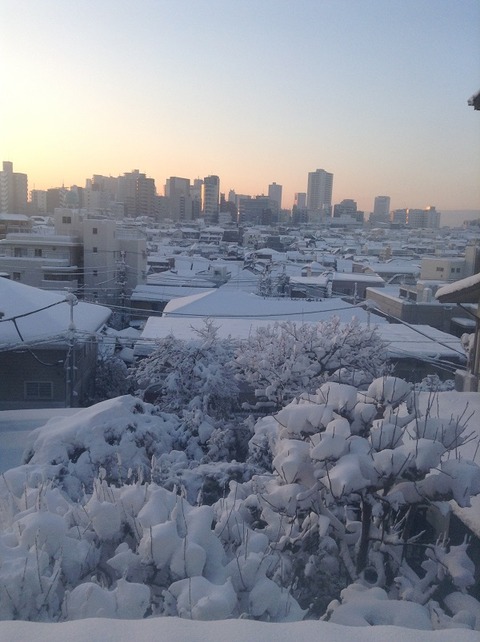 2018年1月大雪 2階の窓から