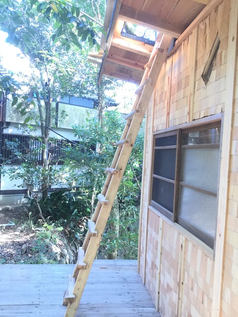 24487FA3-170A-48EB-A95A-0EB92833DB3A