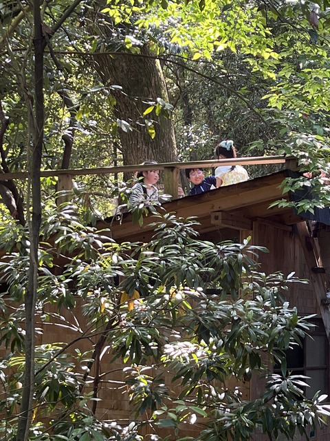 image3
