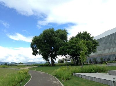 駅裏2