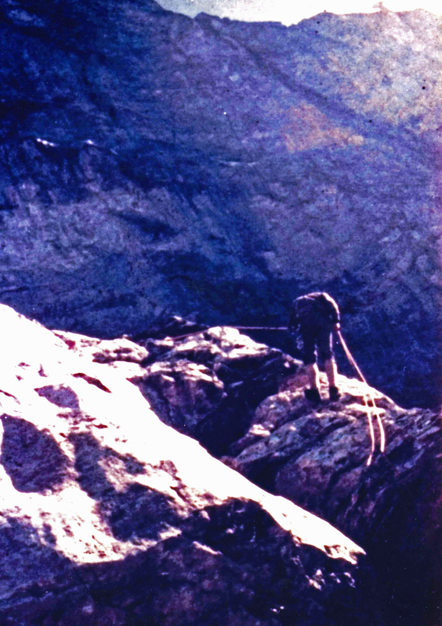 昔の冒険を総括します 登山をしてました 大谷計介野生の世界 虎 ライオンからパンダ迄