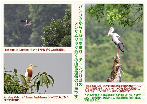 2チョンブリの山岳地帯