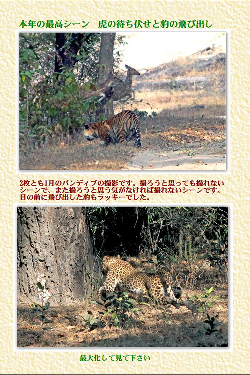 1番 今年最高の場面です