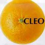 CLEO 1�� CLEO