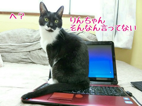 [画像:0314d2a5-s.jpg]