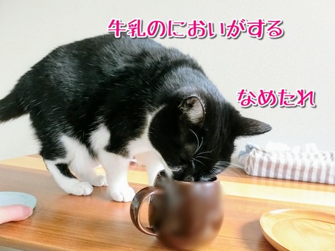 Point Blur_20181231_163844