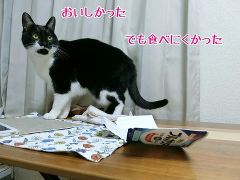 [画像:05e70575-s.jpg]