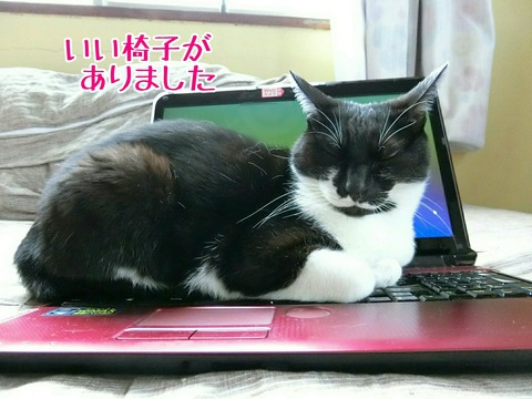 [画像:0bf75f4e-s.jpg]