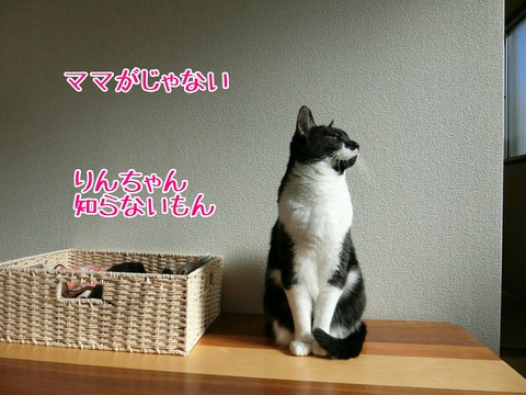 [画像:0d18446f-s.jpg]