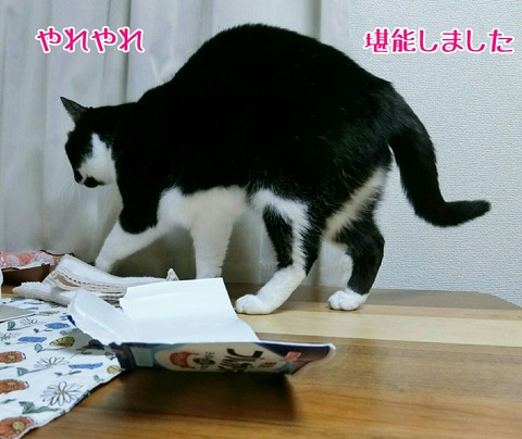 [画像:0dbc5dc5-s.jpg]