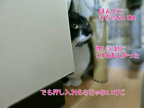 [画像:0eb73175-s.jpg]