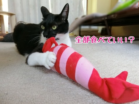 Point Blur_20180627_232307