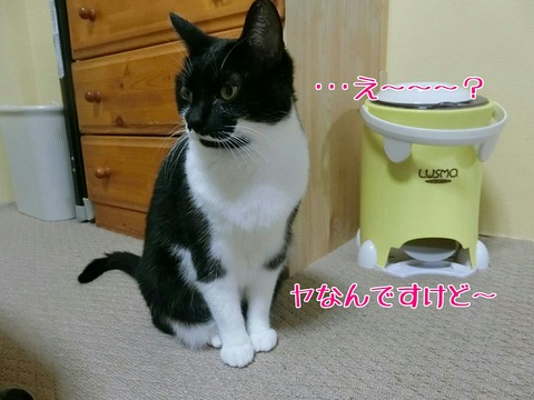 [画像:14950fdc-s.jpg]