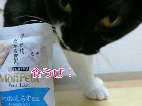 [画像:1c31751b-s.jpg]