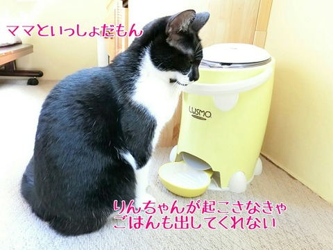 [画像:279b939f-s.jpg]