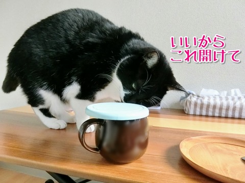 Point Blur_20181231_165449