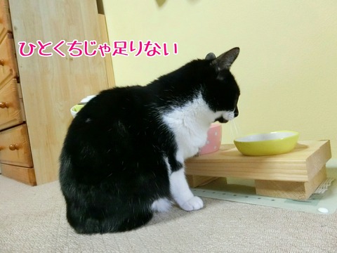 [画像:38f7c54d-s.jpg]